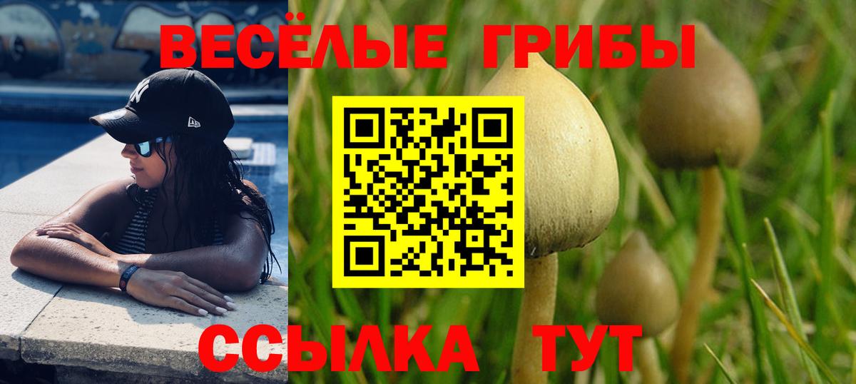 Псилоцибиновые грибы ЛСД  Вход с VPN  Псилоцибиновые грибы Cubensis  Обнинск 